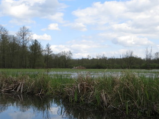 landscape with lake and blue sky