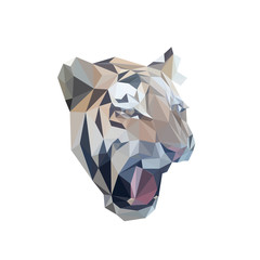 Tiger head, low polygonal face, isolated vector illustration