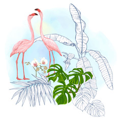 A composition of tropical plants, palm leaves