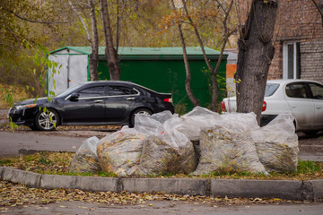 plastic bags filled with yellow foliage on the side of the road on the background of a brick house...