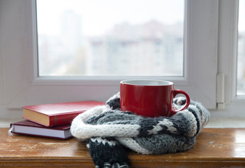 Cozy winter still life: mug of hot tea and opened book with warm plaid on vintage windowsill against snow landscape from outside.