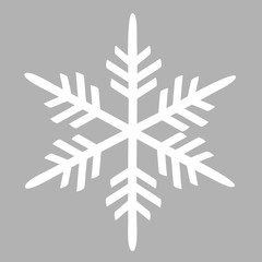 Winter beautiful illustration