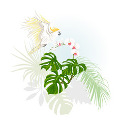 Fototapeta na wymiar A composition of tropical plants, palm leaves