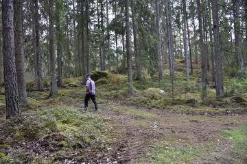 Obraz premium Senior walking in a coniferous forest