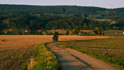 Fototapeta premium village walk