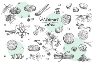 Set of hand drawn Christmas winter spices pattern. Traditionally used in made desserts, hot mulled wine, homemade cookies.