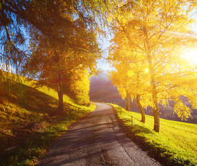 Magic image of alpine area in Santa Magdalena village.