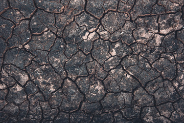 Mud cracks texture top view