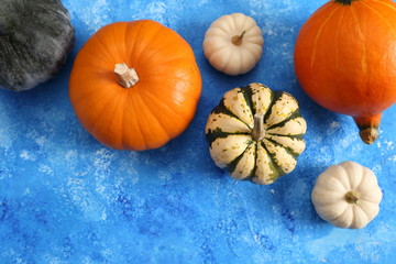 Colorful pumpkins.