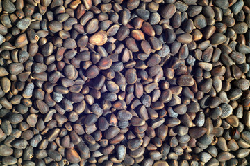 Pine nut pile close-up in brown color.