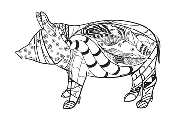 Pig on white. Zen art. Zentangle. Hand drawn animal with intricate patterns on isolated background. Design for spiritual relaxation for adults. Black and white illustration for coloring. Print