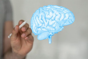 brain