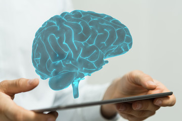 brain