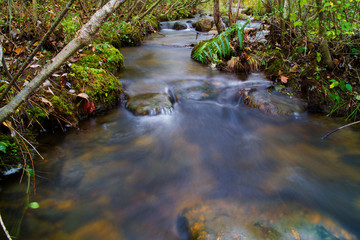 Obraz premium Appalachian Fresh Water Spring, Autumn Scene