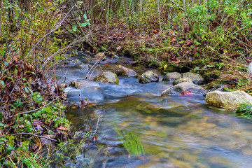 Cool Autumn Stream Water Rippling Over Rocks