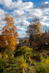 City park in the fall