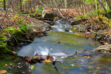 Autumn Stream Scene, Long Exposure Photogrpahy