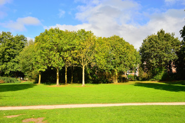 Park i ścieżka wśród drzew w pochmurny dzień.