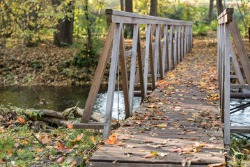 Yellow, orange and red autumn leaves in beautiful fall park. Wooden bridge into the autumn forest. Iecava. Latvia.