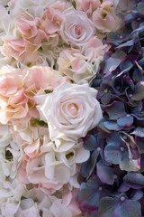 Wedding background of fresh flowers of white and pink roses and hydrangea