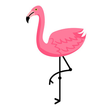 Pink flamingo isolated on white background. Vector illustration.