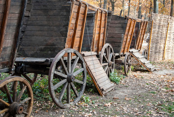 Fototapeta na wymiar Old horse drawn wooden cart. Convoy of several carts in the autumn forest