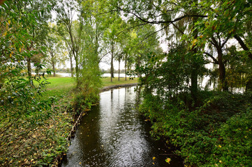 Wąski strumyk wśród drzew wpływa do jeziora. © W Korczewski