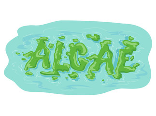 Botany Algae Illustration