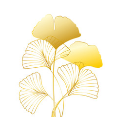 Vector illustration of ginkgo biloba leaves. Background with silhouette of leaves