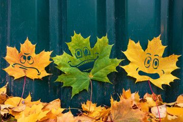 autumn leaves with different facial expressions