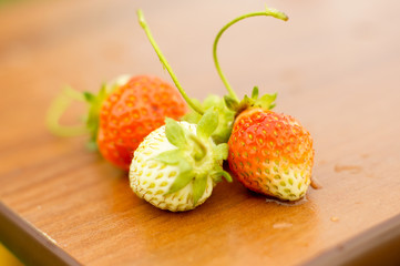 White and red strawberries lie in the sun. Delicious and sweet dessert berry. Vitamins