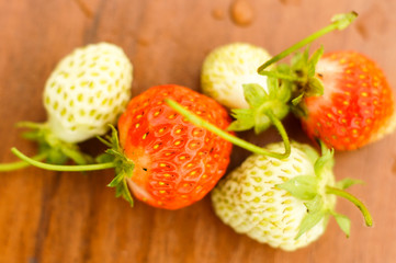 White and red strawberries lie in the sun. Delicious and sweet dessert berry. Vitamins