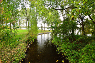 Wąski strumyk wśród drzew wpływa do jeziora. © W Korczewski