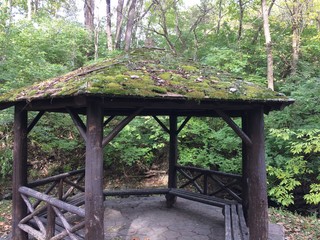 moss covered gazebo in forest