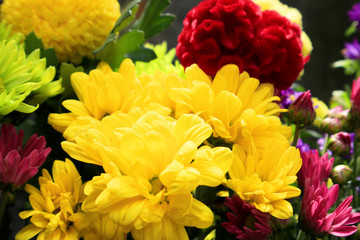 Flowers at In front of Japanese style Tombs.