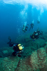 Naklejka na ściany i meble Scuba divers underwater in the deep blue sea.