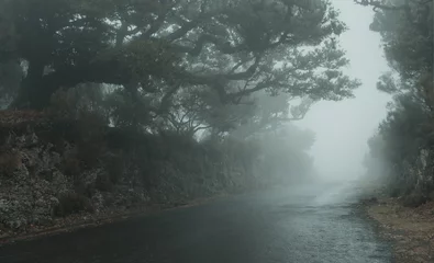 Wandaufkleber Empty foggy road on Madeira island  © rangizzz