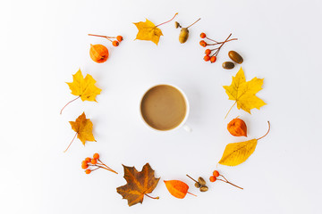 Autumn flat lay background on white