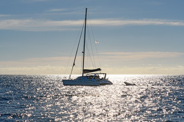 Sailing yacht catamaran in tropical waters at sunset.