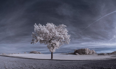 infrared photography - ir photo of landscape with tree under sky with clouds - the art of our world...
