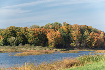 Beautiful autumn landscape with yellow trees and sun. Colorful foliage in the park. Falling leaves natural background