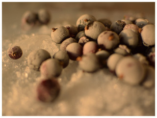 currant berries freeze nature macro