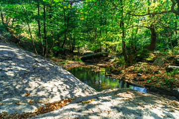 River and Waterfall Among Forest