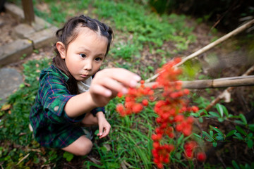 赤い実を採る女の子