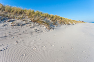 bright wild beach of white sand, Curonian Spit National Park