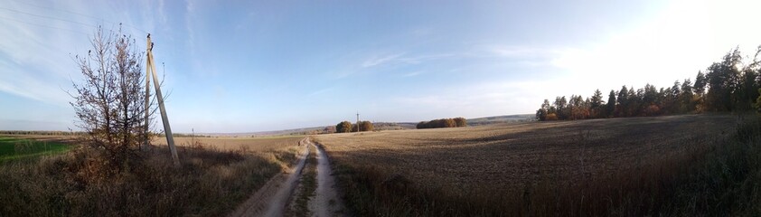 Obraz premium road in the field