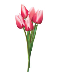 Bouquet of red tulips on a white. Realistic vector 3d illustration