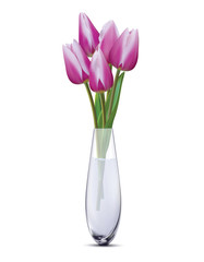 Bouquet of violet tulips in a glass vase on a white. Realistic vector 3d illustration