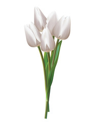 Bouquet of white tulips on a white. Realistic vector 3d illustration