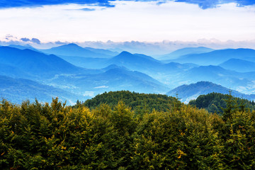 landscape of green forest and mountains